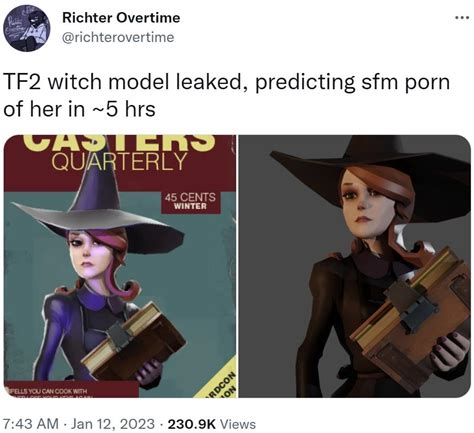 The Commodification of TF2 Witch Pornographic Art: Fan Creations Turned Marketable Goods